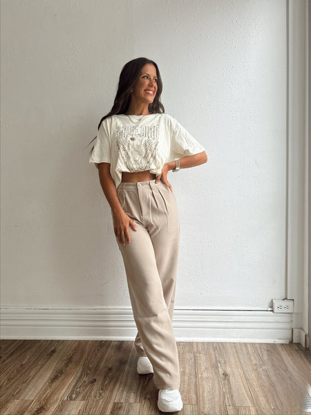 Everly Solid Taupe Trousers