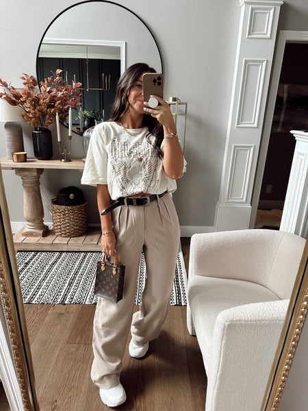 Everly Solid Taupe Trousers